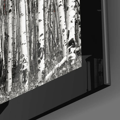 Aspen Trees Red Leaves Glass Wall Art Black Frame | Modern Wall Art Decor | vintageantiquesgifts.com