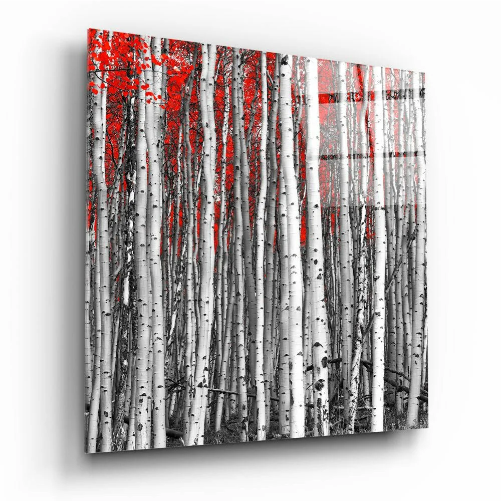 Stunning Red Birch Forest Glass Wall Art Canvas Print | Insigneart USA | vintageantiquesgifts.com