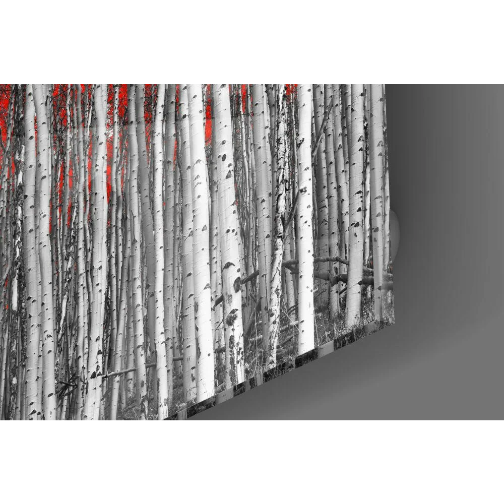 Stunning Red Birch Forest Glass Wall Art Canvas Print | Modern Wall Art Decor | vintageantiquesgifts.com