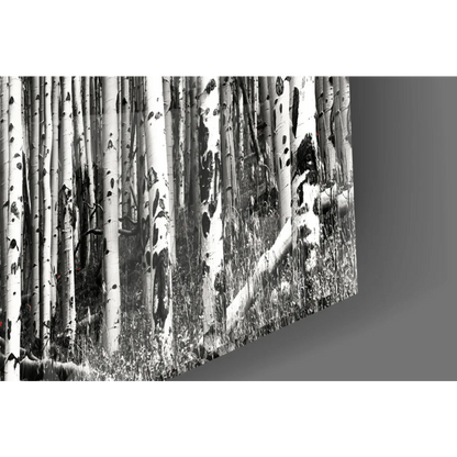 Stunning red birch forest black-and-white canvas wall art