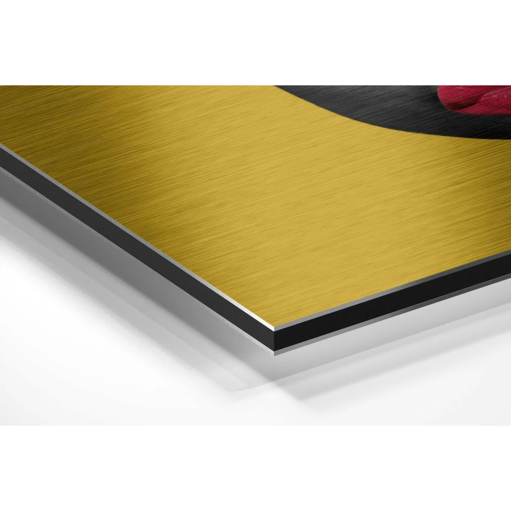 Stunning brushed aluminium dibond abstract wall art with gold brushed metal, black border, red accent