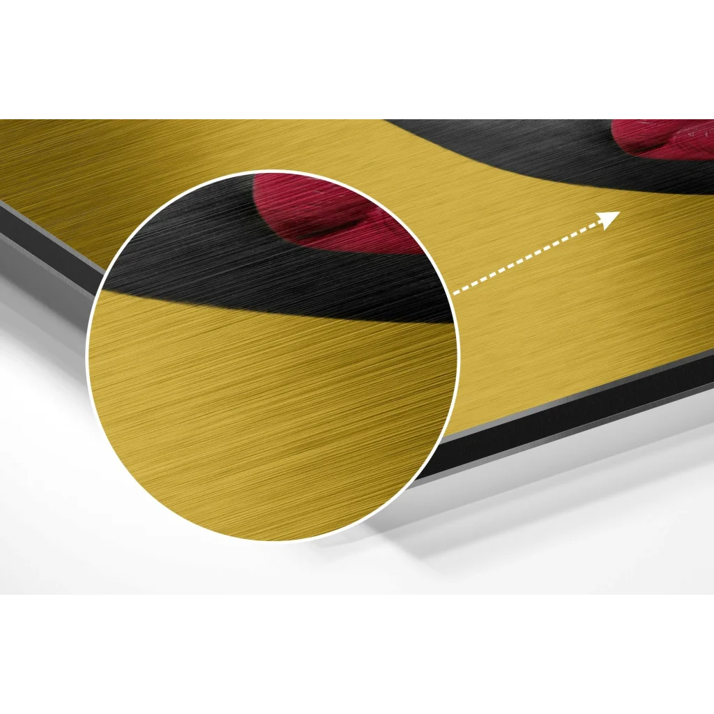 glass wall art Red Hat Brushed Aluminium Dibond Wall Art