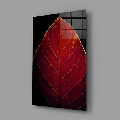 Vibrant red leaf with golden veins on glossy glass wall art panel