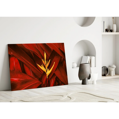 Vibrant red and yellow bird of paradise glass wall art print on canvas against white wall