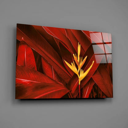 Vibrant red and yellow bird of paradise glass wall art print on acrylic panel