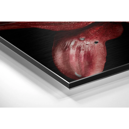 Stunning Brushed Aluminium Dibond Prints That Pop | Glass Wall Art Print | vintageantiquesgifts.com