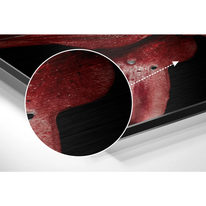 Stunning Brushed Aluminium Dibond Prints That Pop | Modern Wall Art Decor | vintageantiquesgifts.com