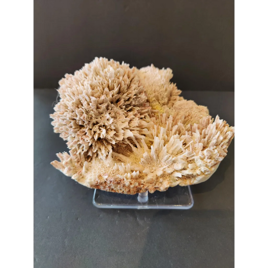 Red mordenite with stilbite specimen, 1309g, beige spiky crystals on stand