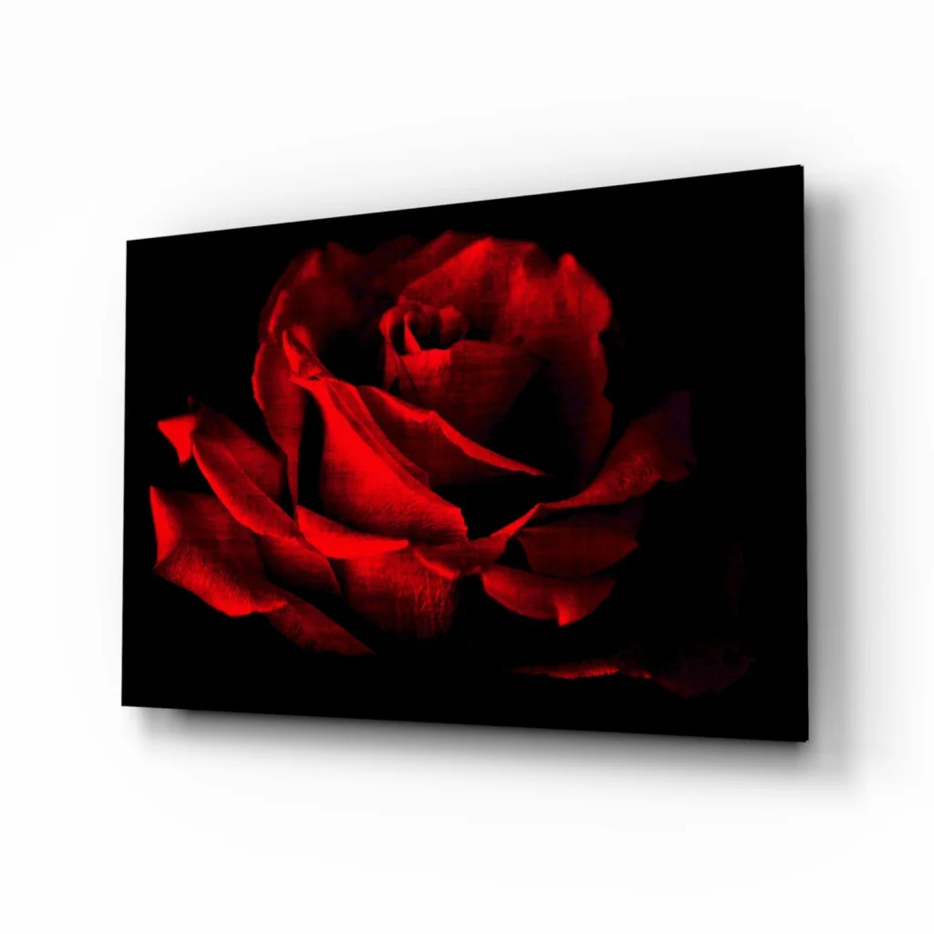 Stunning red rose wall art canvas print on black background