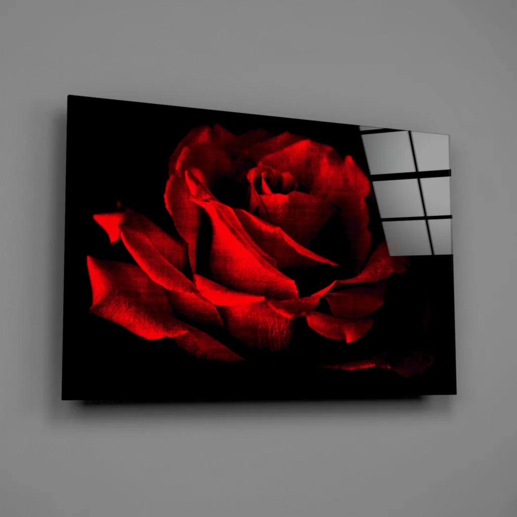 Vibrant red rose wall art on sleek black canvas