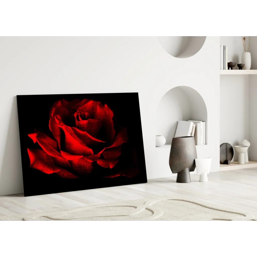 Vivid red rose wall art canvas print on black background