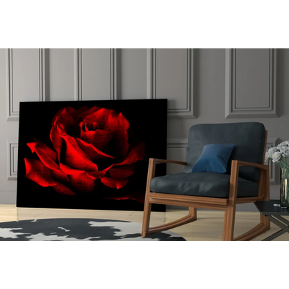 Stunning red rose wall art canvas print on black background
