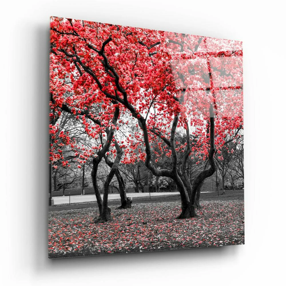 Vibrant red cherry blossom glass wall art on monochrome park background