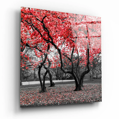 Vibrant red cherry blossom glass wall art on monochrome park background