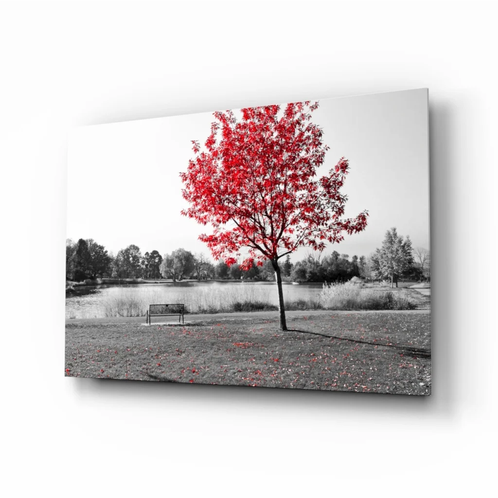 Vibrant red tree canvas wall art in black-and-white park scene
