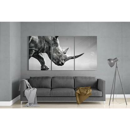 Majestic Rhino Triptych Canvas Wall Art in Stunning Black and White | Modern Wall Art Decor | vintageantiquesgifts.com