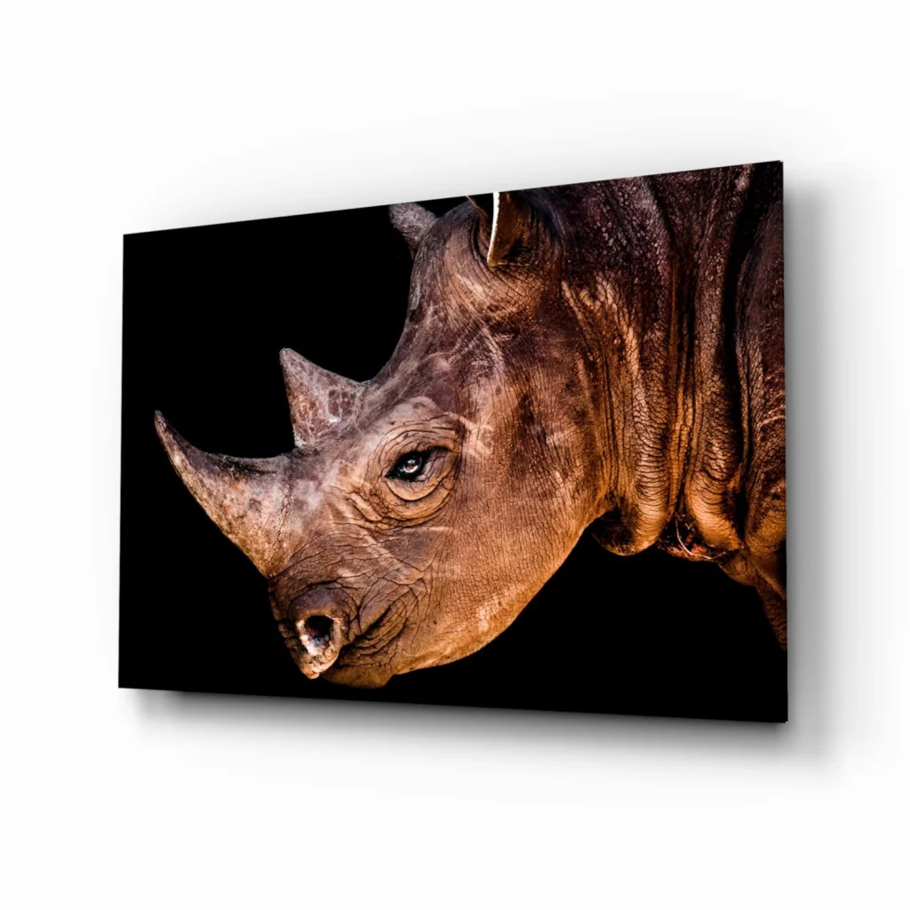 Majestic Rhino close-up on glass wall art canvas print