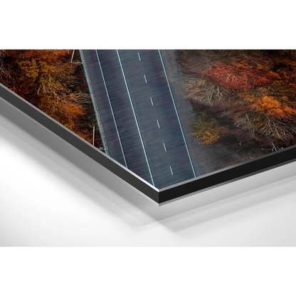 Black-framed brushed aluminium dibond of autumn highway forest art