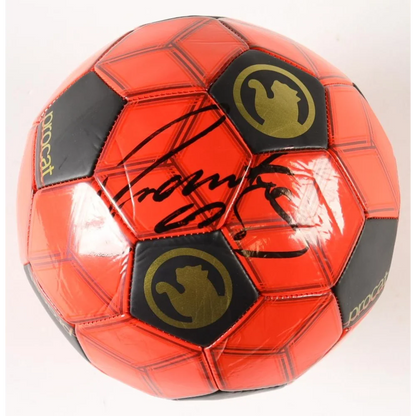 Roberto Carlos signed soccer ball with red and black design and gold panther logo