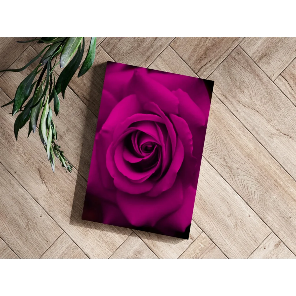 Vibrant magenta rose on insigne aluminum print canvas