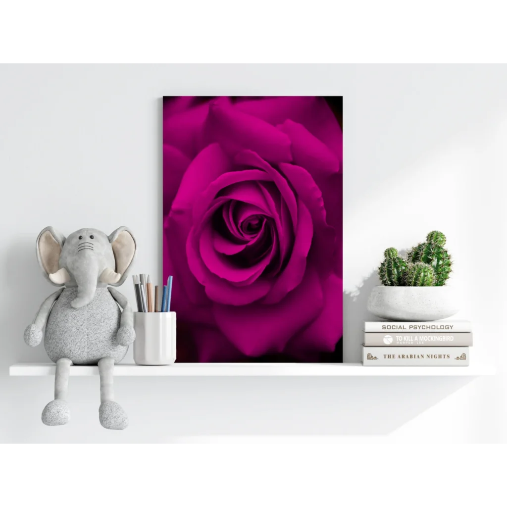 Vibrant magenta rose insigne aluminum print with detailed petals in minimalist frame