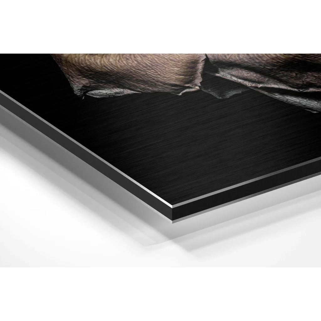 Black metal-framed brushed aluminium dibond art with textured earthy fabric close-up