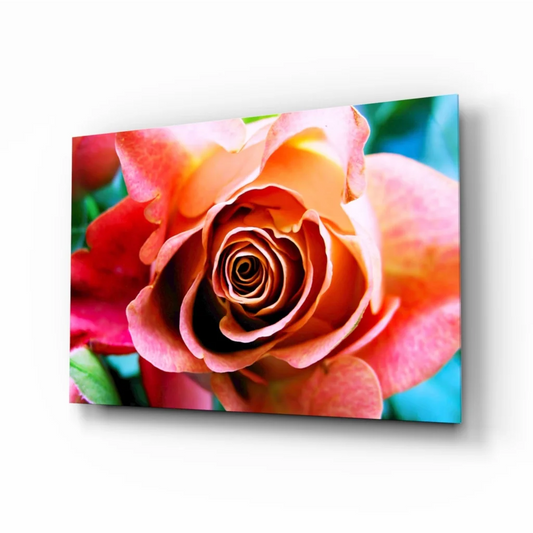 Stunning Orange Rose Canvas Wall Art on Bright Blue | Insigneart USA | vintageantiquesgifts.com