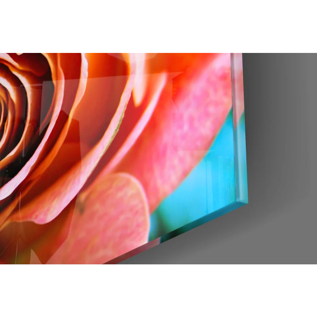 Vibrant orange and pink rose glass wall art on clear acrylic panel