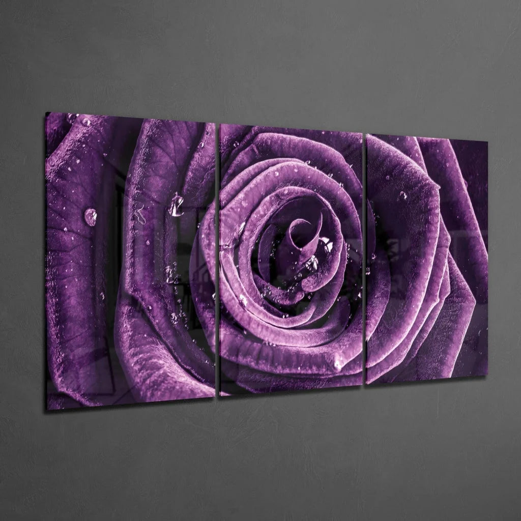 Purple rose dew drop tri-panel canvas wall art close-up