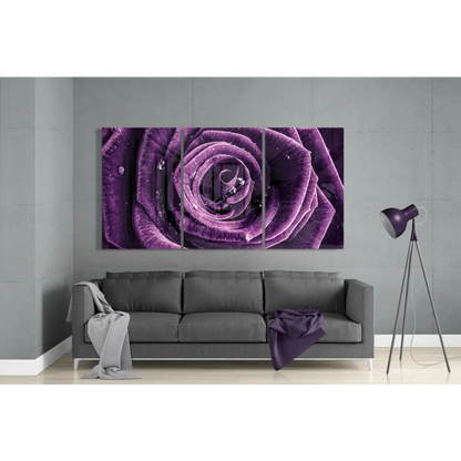 Vibrant purple rose dew drop wall art tri-panel canvas print