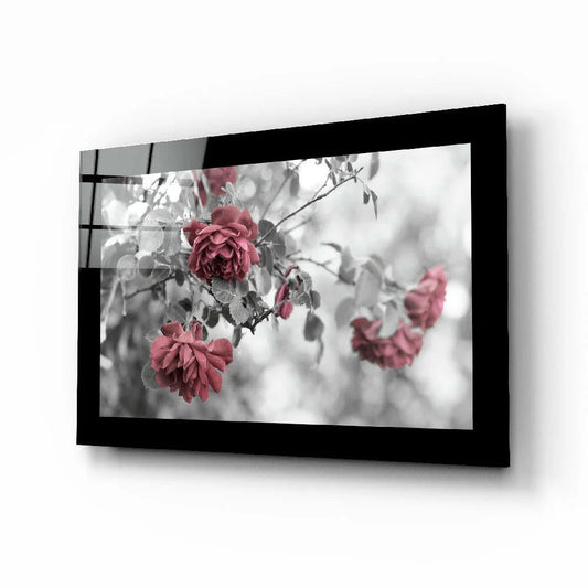 Stunning pink roses selective color glass wall art in black frame