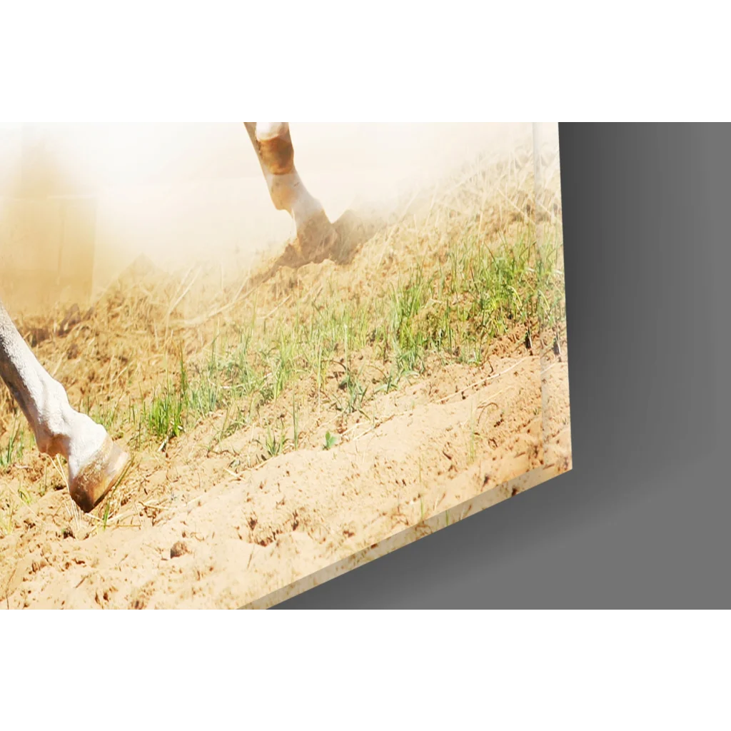 Dynamic glass wall art of horse legs kicking dust over grass
