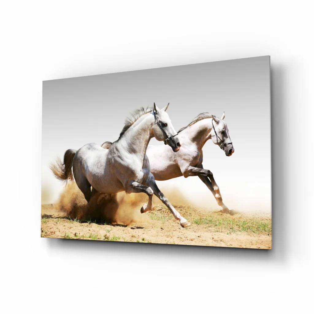 Dynamic white horses galloping on glass wall art canvas print