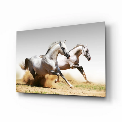 Dynamic white horses galloping on glass wall art canvas print