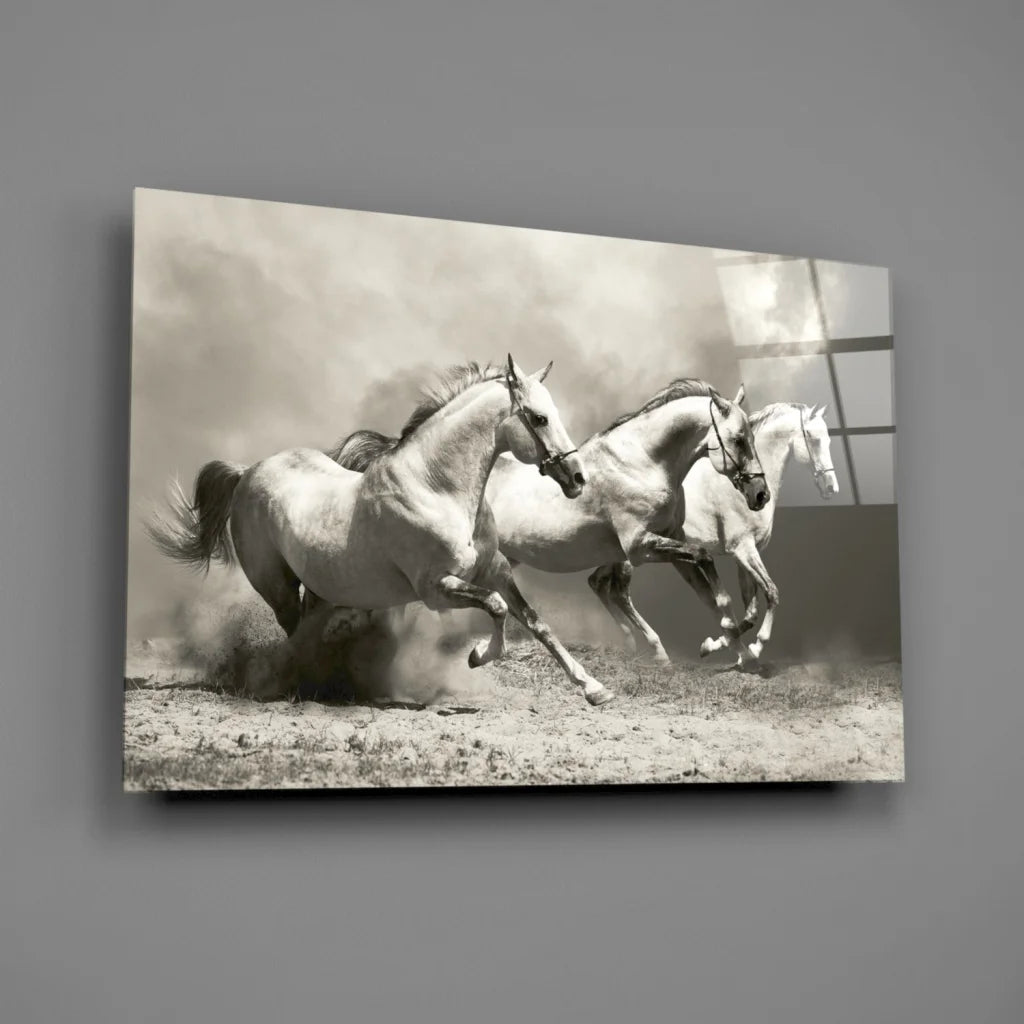Black-and-white canvas wall art of three white horses galloping in dust