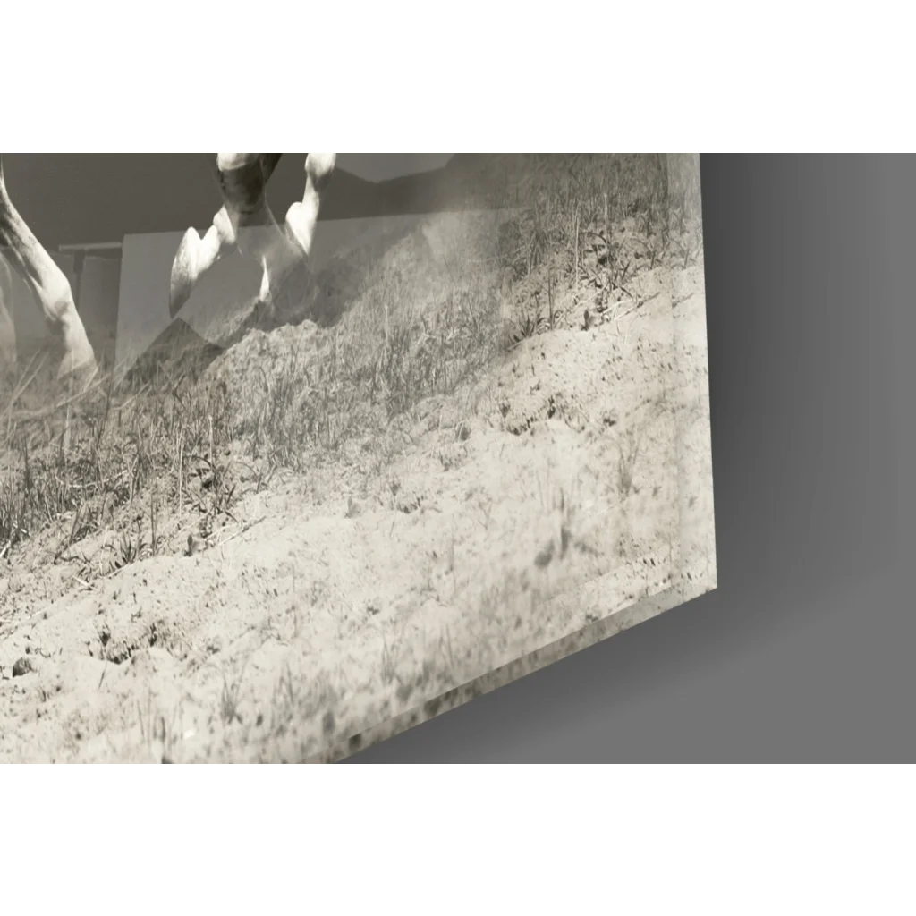 Black-and-white horse leaping over sand in wild galloping wall art