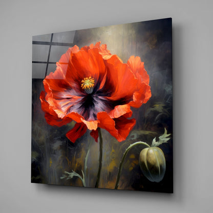 Glass wall art mounted on gray wall displaying a vibrant red poppy flower with yellow center against dark moody background.