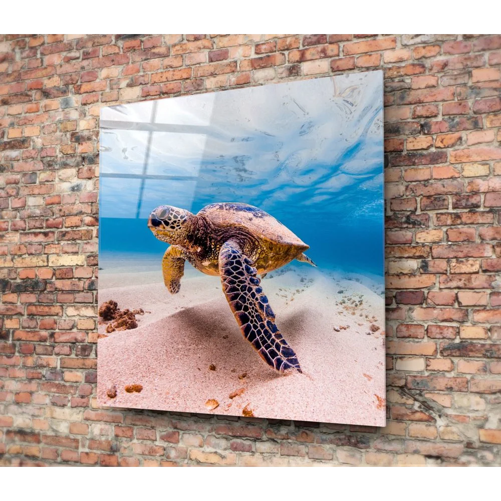 Stunning sea turtle tempered glass art on wall