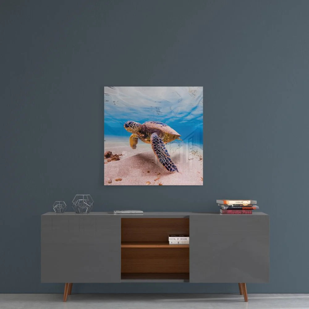 Stunning sea turtle tempered glass art on dark gray wall