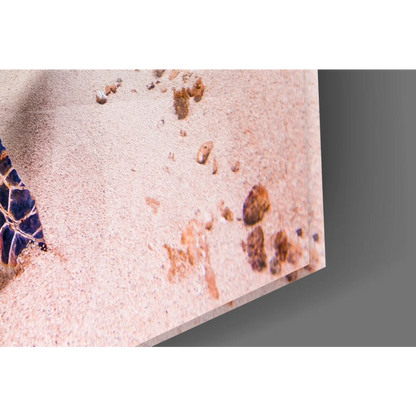 Close-up sea turtle shell glass wall art on pink sand with pebbles