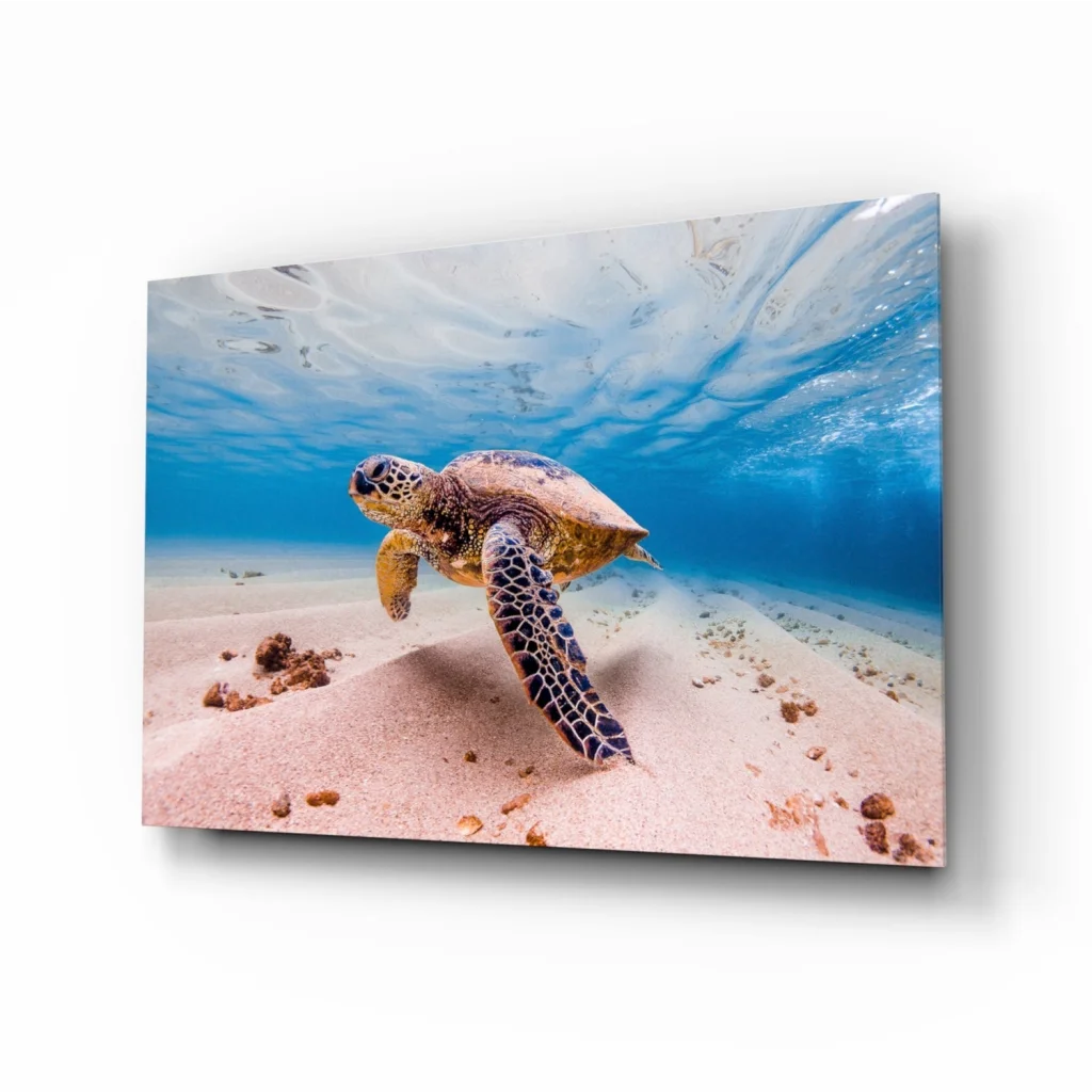 Stunning Glass Wall Art Prints for Your Home Decor | Insigneart USA | vintageantiquesgifts.com