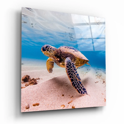 Vibrant green sea turtle tempered glass art swimming over sandy ocean floor