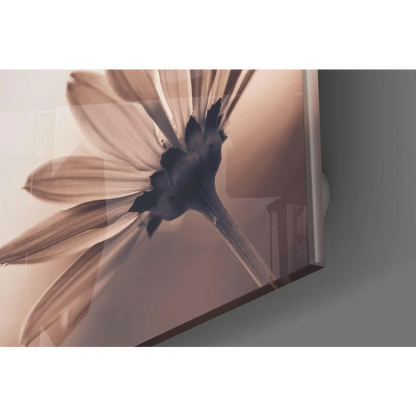 Sepia Daisy stylized glass wall art print on acrylic panel
