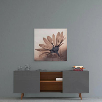 Sepia-toned daisy glass wall art print on acrylic panel