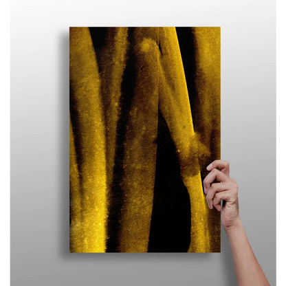 Golden-yellow velvet curtain with black stripes on insigne aluminum prints