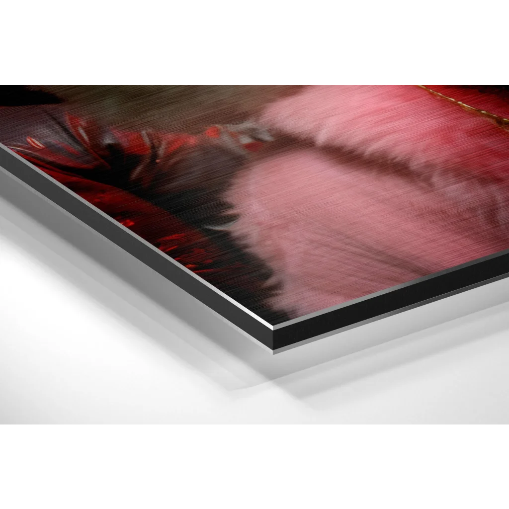 Glass Wall Art Glamorous poodles pink feathered artwork on brushed aluminium dibond print