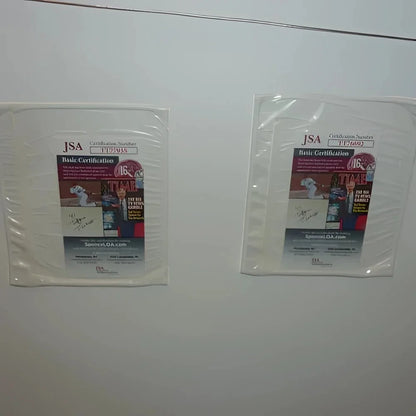 Framed signed Nirvana music poster with Dave Grohl and Krist Novoselic