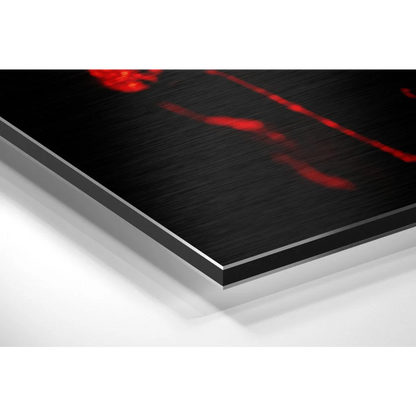 Vibrant red skull art on brushed aluminium dibond print
