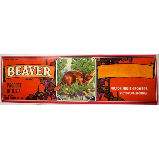 Vintage Beaver Grape Crate Label with beaver illustration and red border design