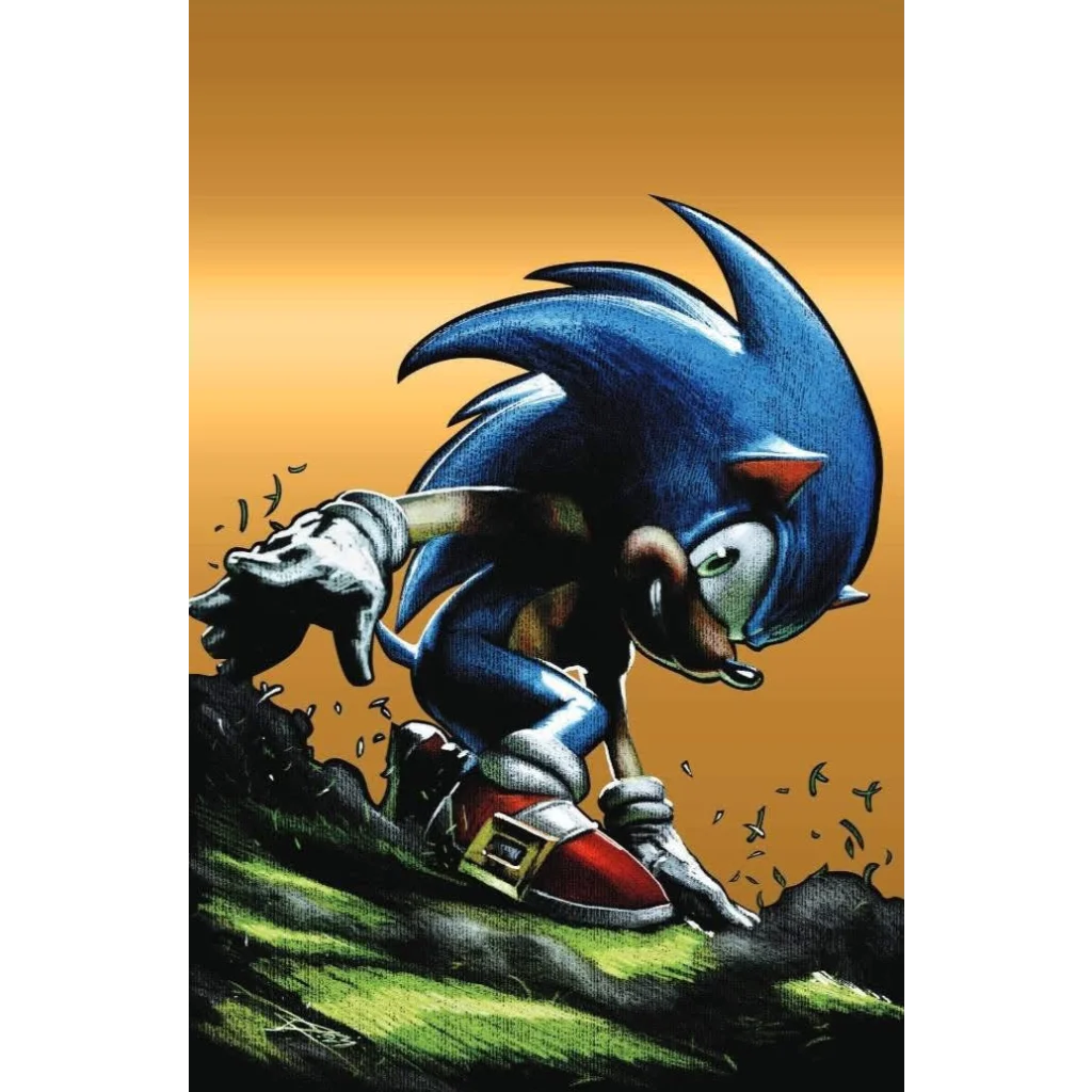 Blue cartoon hedgehog running for Sonic Hedgehog Comic Book Collection Scattered Pieces Adventure